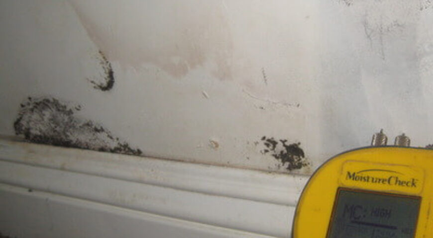 Top Reasons to Schedule Mold Removal in Broome County Today