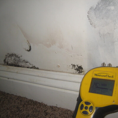 Mold Remediation Steuben County