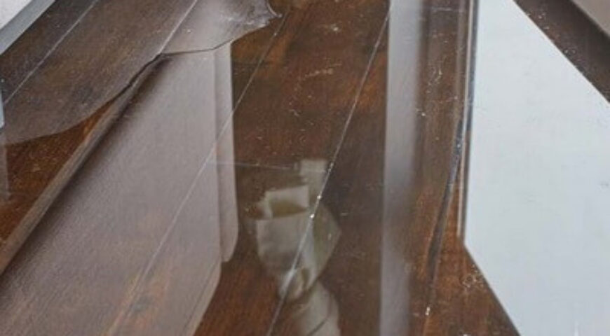 Why Mold Remediation Norwich Services Are Essential After Water Damage?