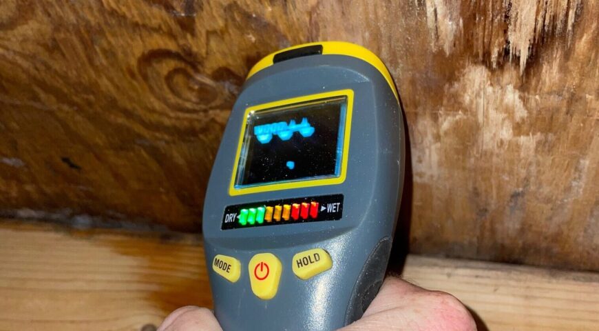 What are the steps taken by mold remediation contractors in Norwich?