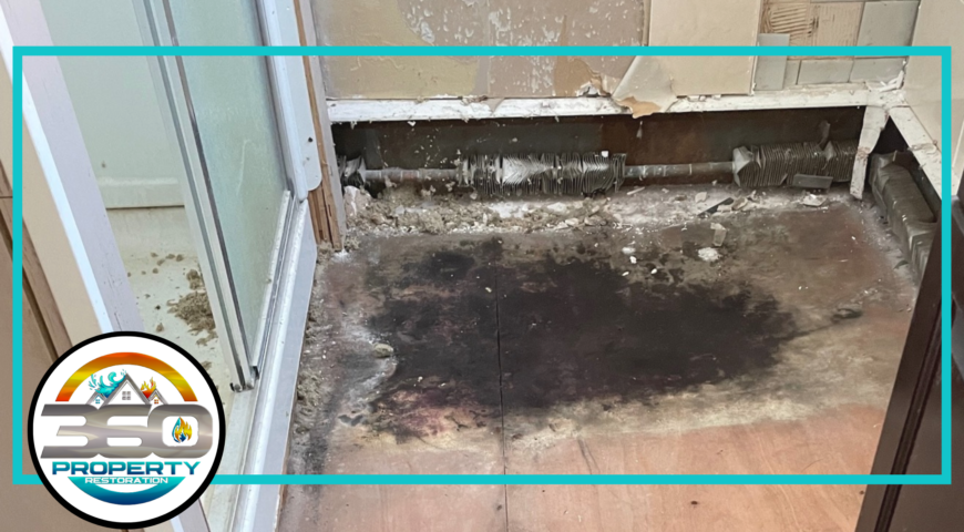 Key Indications That Homes In Ithaca, NY Requires Mold Remediation Service