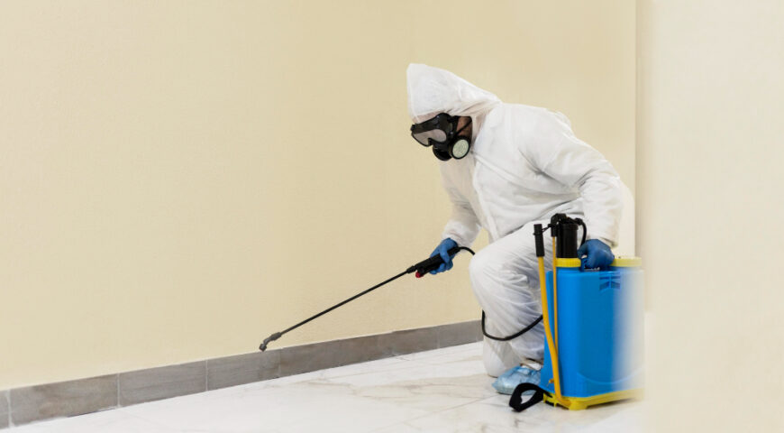 What Happens During a Professional Mold Inspection in Cortland County?