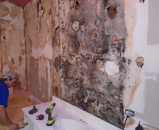 mold remediation Tioga County
