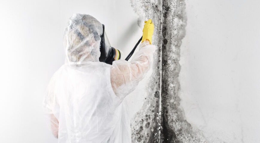 How Mold Removal in Bradford County Helps Improve Indoor Air Quality?