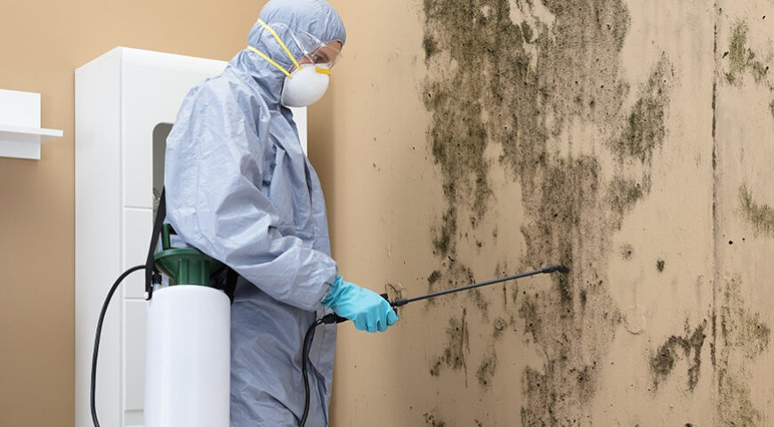 How a Mold Remediation Contractor in Corning Protects Your Family’s Health?