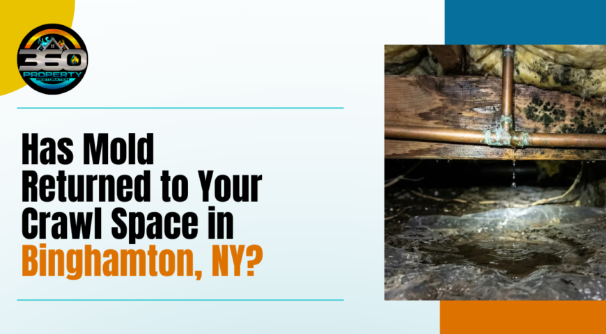 Has Mold Returned to Your Crawl Space in Binghamton, NY?