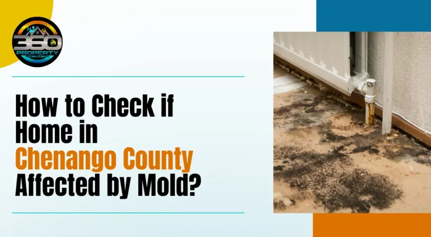 How to Check if Home in Chenango County Affected by Mold?