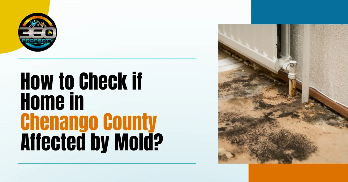 How to Check if Home in Chenango County Affected by Mold?