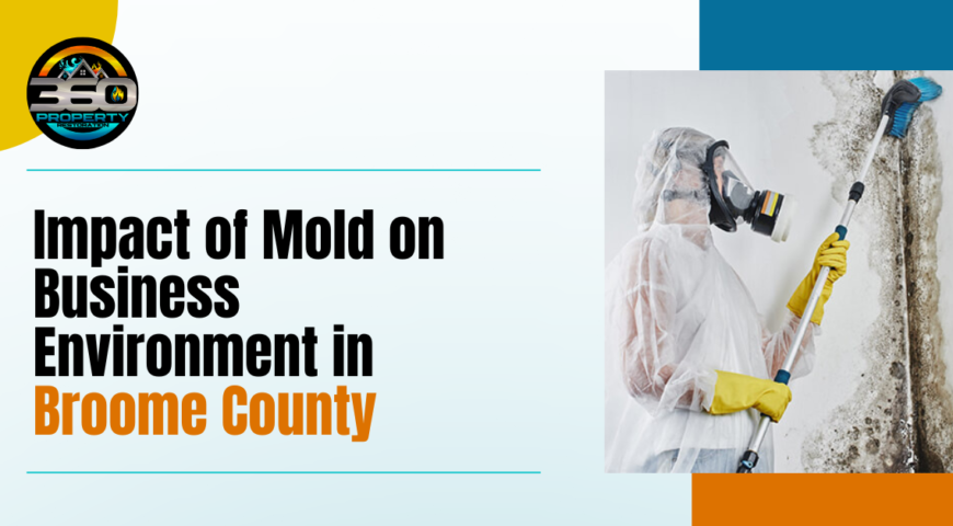 Impact of Mold on Business Environment in Broome County